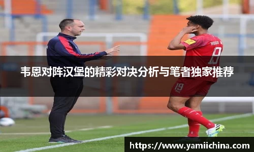 韦恩对阵汉堡的精彩对决分析与笔者独家推荐