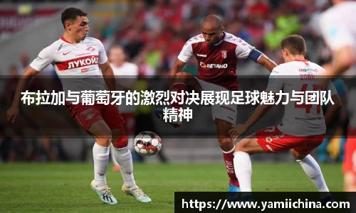 jn江南·体育登录入口